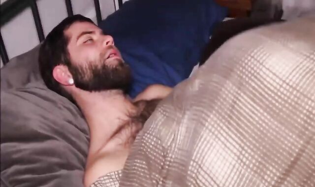 vigour Bottom Predominates