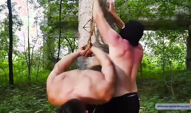 latest weenie For The taskmaster Part V