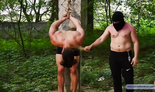 latest weenie For The taskmaster Part V