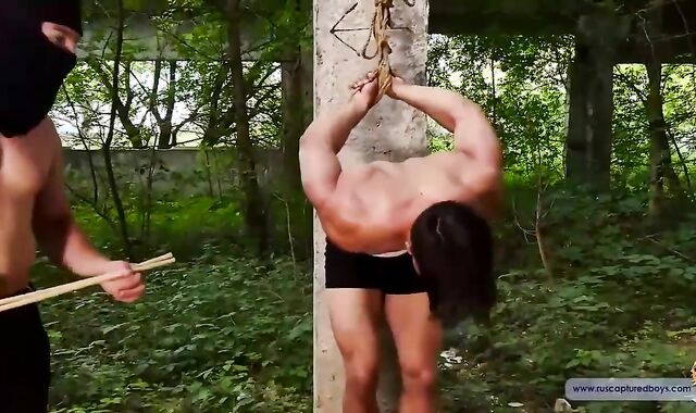 latest weenie For The taskmaster Part V