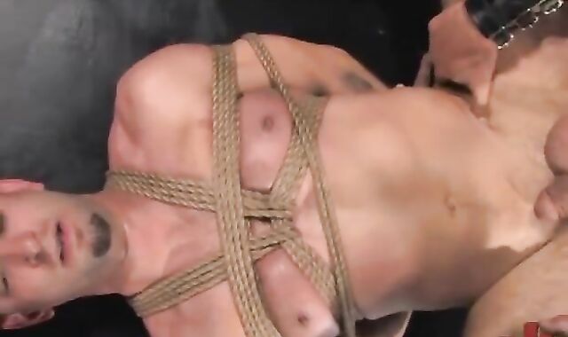 fresh man meat For thraldom