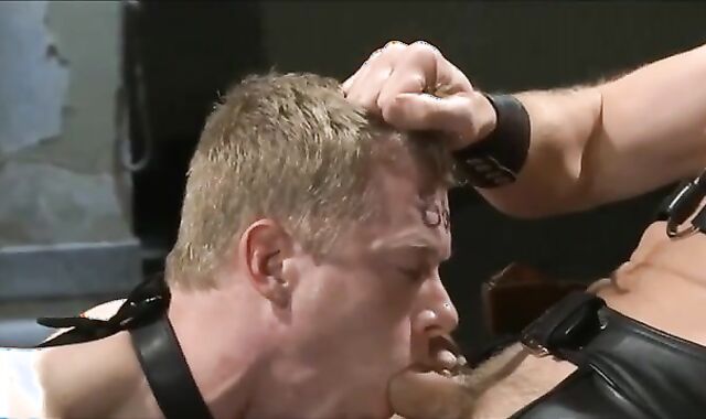 masochism Frolicking With My stud bondman