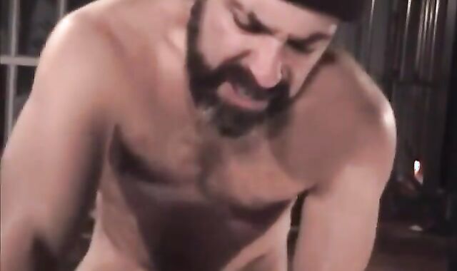 faggot Hump villein 0572