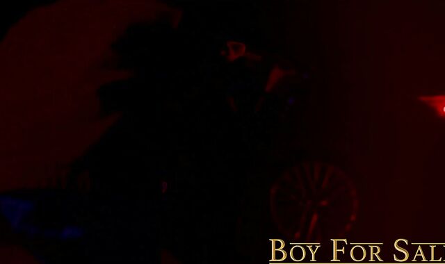 boyforsale:voyeur A Dom's Youthful Subjugated Marionette