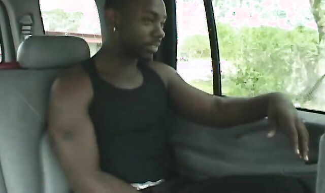 Thugzilla And The Rabbit