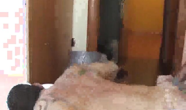 boink joy In Amsterdam