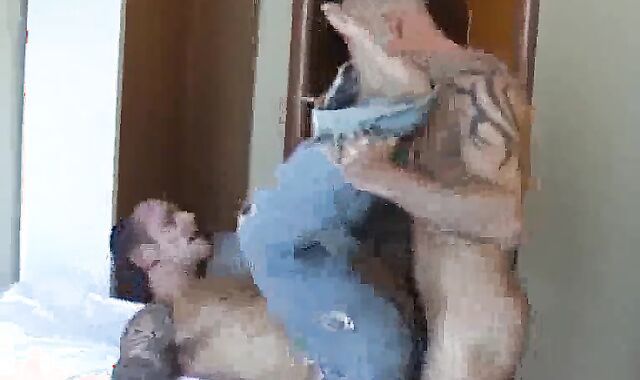 boink joy In Amsterdam