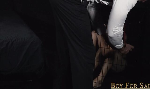 boyforsale:spycam Suit Up for Ass licking Joy