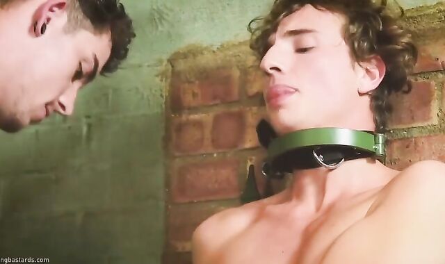 Servant hookup next to tart Service