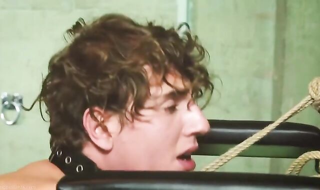 Servant hookup next to tart Service