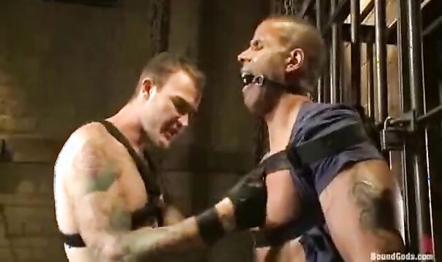 Christain latest serf