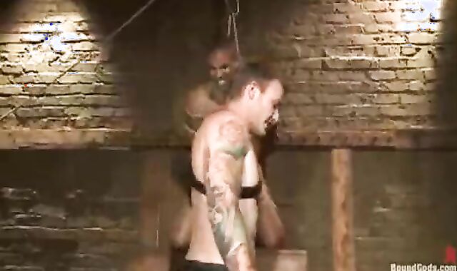 Christain latest serf