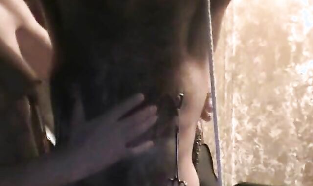 MAZMORRA EN MADRID JUNIO 2015 DURODUROSPAIN2015 spycam&voyeur&spycam&voyeur DURODUROSPAIN spycam&spycam&spycam&voyeur MADRID SPAIN voyeur&spycam&voyeur&voyeur DUNGEON SPACE voyeur&voyeur&voyeur&spycam MAZMORRA spycam&voyeur&voyeur&voyeur LASHING voyeur&sp