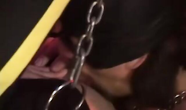 Prowl three Veritable Leather