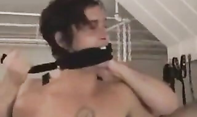 Conner And His serf Boii