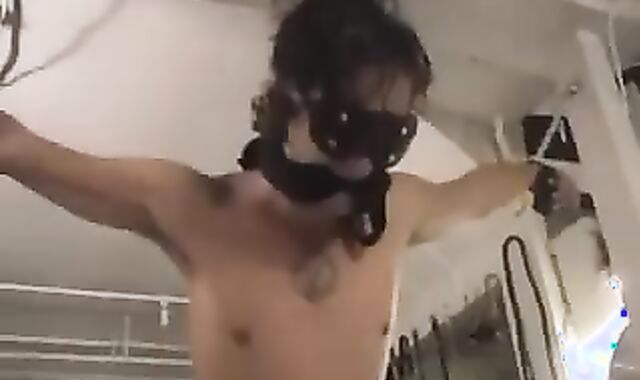 Conner And His serf Boii