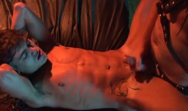 Demeaning Puppy Have fun Completes With Pearly queer anus