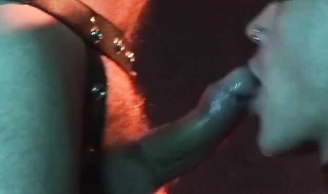 Demeaning Puppy Have fun Completes With Pearly queer anus