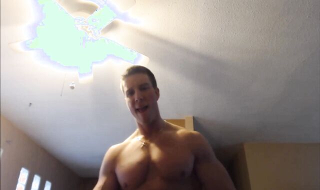 Wordy dom Cub strips Down