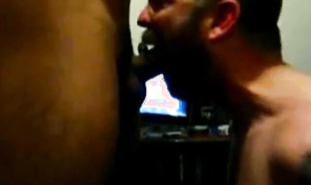 Hairy Bear Daddy Sucks Amateur Cock