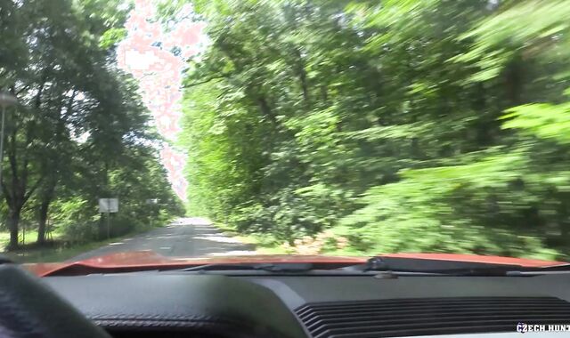 Czech Hunter:spycam A Camper's Rail and Prohibited Joy