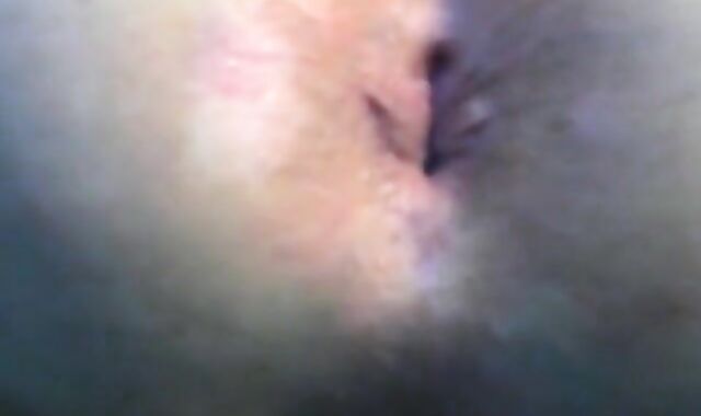 Sissy Flashes Her Fuckhole on Webcam 4