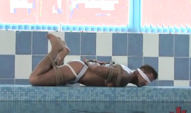 A long Unusual Journey