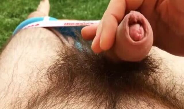 Do you Like giant shaggy Thicket