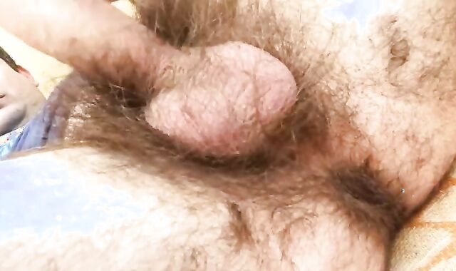 Do you Like giant shaggy Thicket