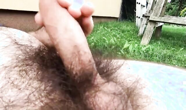 Do you Like giant shaggy Thicket