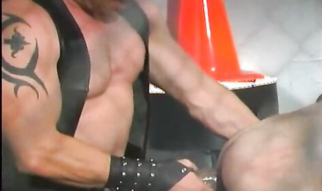 Dual D-lights Leather sex