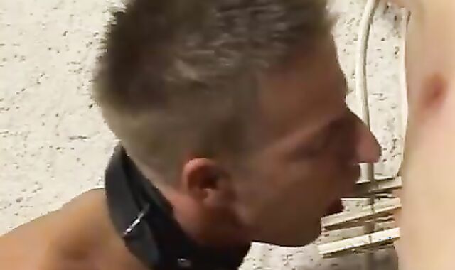 Discipline4Boys voyeur-voyeur Thirsty aperture