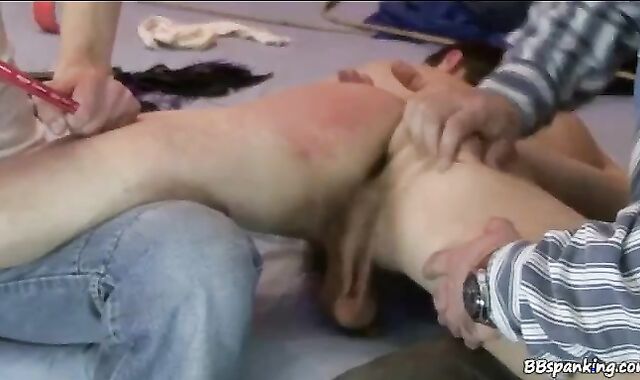 Discipline Administered By 2 Experts