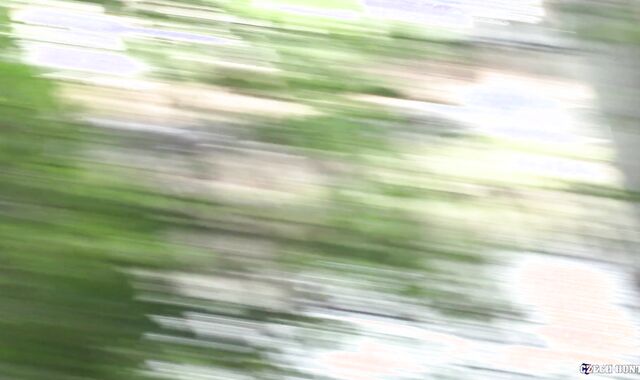 Czech Hunter:spycam Ales'spycam Island Indulgence Revealed