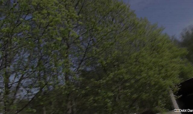 Debt Dandy:voyeur Endowed oral job abilities of a desperate dude