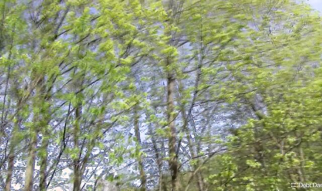 Debt Dandy:voyeur Endowed oral job abilities of a desperate dude