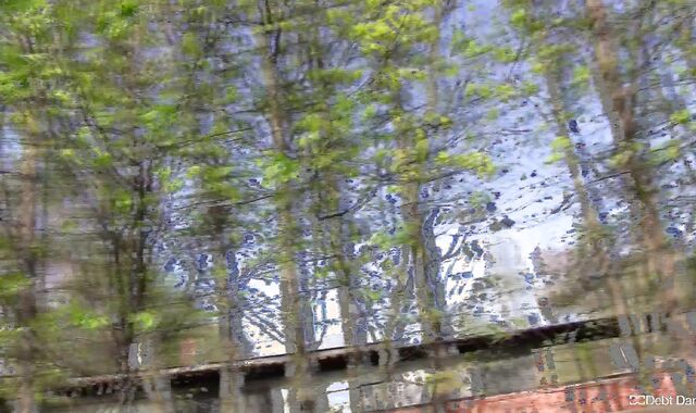 Debt Dandy:voyeur Endowed oral job abilities of a desperate dude