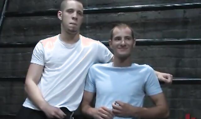 you Take This manhood Real excellent