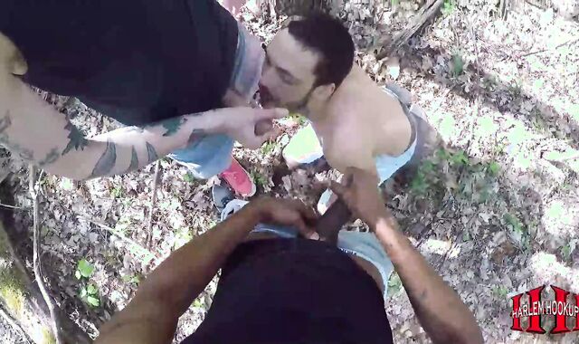 The Brothers Wished Fuck-fest