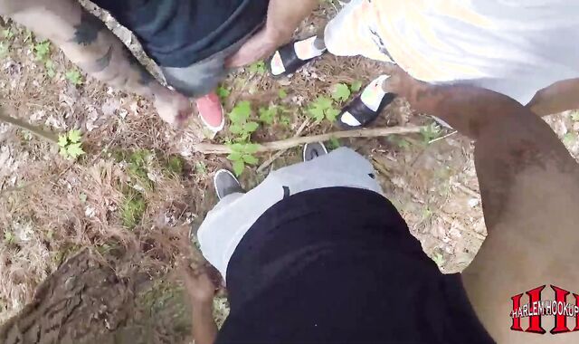 The Brothers Wished Fuck-fest