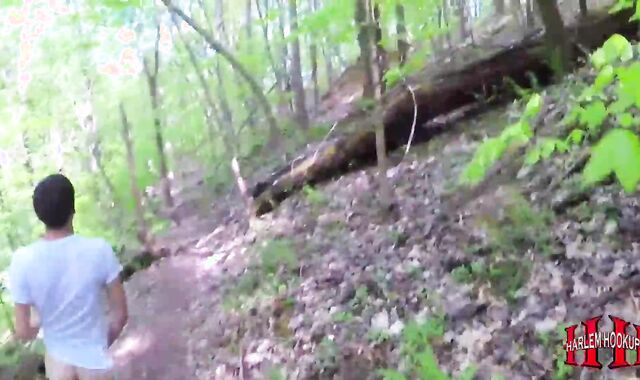 The Brothers Wished Fuck-fest