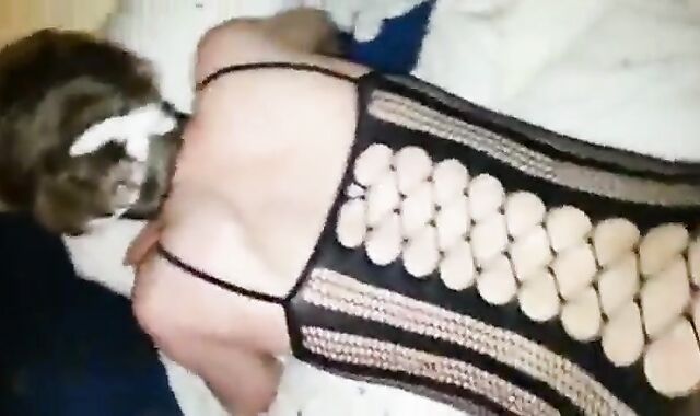 Sissy's Interracial Bareback Creampie 2