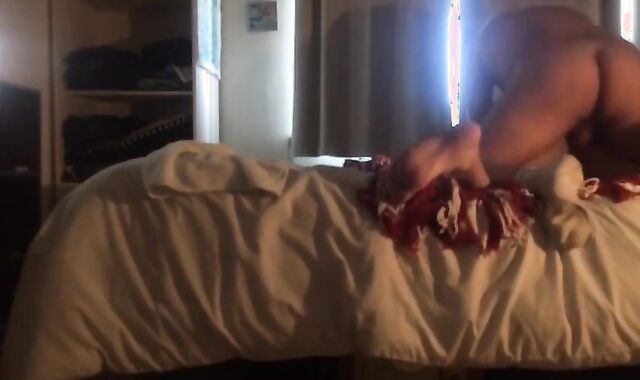 marvelous non-pro Breeding Compilation