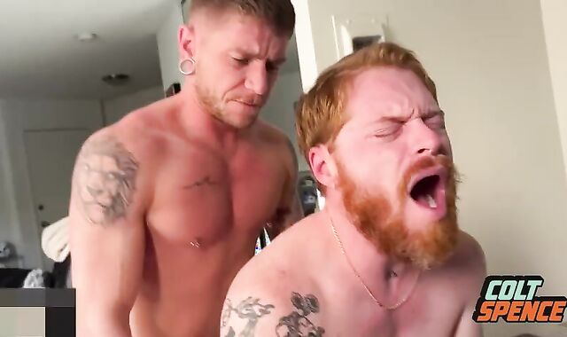 Strung up shlong Colt Spence Breeds sweet Sandy-haired coarse