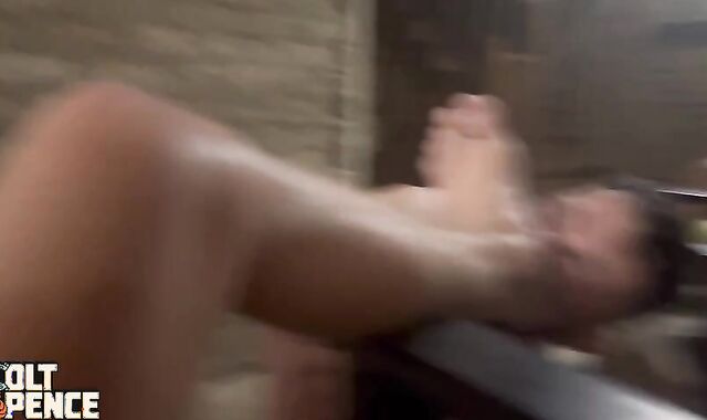 Alpha Colt Spence Predominates Miserable Anonymous Sole bondman raunchy