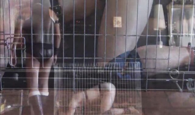 BDSM Porn HD scene 460