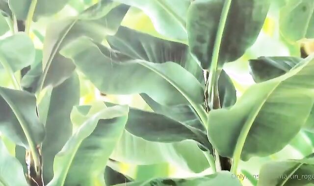 Martin Bred By Daniels Viggo