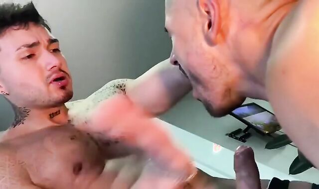 Rectal amongst muscular latino bear