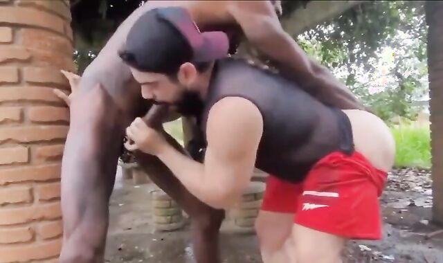 Cruising darksome Pony Suspended pecker