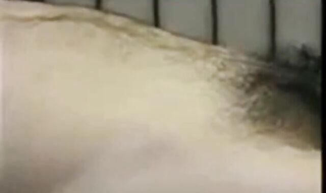 Amateur Asian Daddy's Happy Ending 2